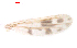  ( - song77)  @12 [ ] Copyright (2015) Chao Song College of Life Sciences, Nankai University