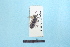  ( - BL1800202)  @12 [ ] Pollen (2018) Christophe Bouget EFNO IRSTEA