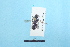  ( - BL1800356)  @11 [ ] Pollen (2018) Christophe Bouget EFNO IRSTEA