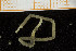  ( - UMBergen_NB_polych158)  @11 [ ] CreativeCommons - Attribution Non-Commercial Share-Alike (2014) University of Bergen University of Bergen, Natural History Collections