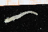  ( - UMBergen_NB_polych423)  @11 [ ] CreativeCommons - Attribution Non-Commercial Share-Alike (2014) University of Bergen, Norway Natural History Collections, University of Bergen