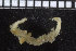  ( - ZMBN_104687)  @12 [ ] CreativeCommons - Attribution Non-Commercial Share-Alike (2015) UoB, Norway University of Bergen, Natural History Collections