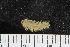  ( - ZMBN_108071)  @11 [ ] CreativeCommons - Attribution Non-Commercial Share-Alike (2018) University of Bergen Natural History Collections
