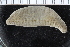  ( - ZMBN_123788)  @11 [ ] CreativeCommons - Attribution Non-Commercial Share-Alike (2018) University of Bergen Natural History Collections