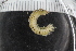 ( - ZMBN_125378)  @11 [ ] CreativeCommons - Attribution Non-Commercial Share-Alike (2018) University of Bergen Natural History Collections