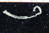  ( - ZMBN_95304)  @11 [ ] CreativeCommons - Attribution Non-Commercial Share-Alike (2014) University of Bergen University of Bergen, Natural History Collections