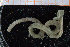  ( - ZMBN_95796)  @11 [ ] CreativeCommons - Attribution Non-Commercial Share-Alike (2014) University of Bergen University of Bergen, Natural History Collections