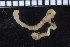  ( - ZMBN_98579)  @12 [ ] CreativeCommons - Attribution Non-Commercial Share-Alike (2015) UoB, Norway University of Bergen, Natural History Collections