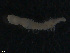  ( - TB592)  @13 [ ] CreativeCommons - Attribution Non-Commercial Share-Alike (2012) NTNU Vitenskapsmuseet NTNU Museum of Natural History and Archaeology