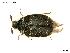  ( - BC-IRSTEA-PSFOR1202)  @11 [ ] Copyright (2019) Guilhem Parmain IRSTEA