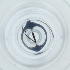  ( - POMS_001_B8)  @11 [ ] by  Genome Research Ltd as Wellcome Sanger Institute Genome Research Limited operating as Wellcome Sanger Institute
