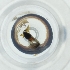  ( - POMS_002_B1)  @11 [ ] by  Genome Research Ltd as Wellcome Sanger Institute Genome Research Limited operating as Wellcome Sanger Institute