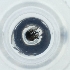  ( - POMS_002_E2)  @11 [ ] by  Genome Research Ltd as Wellcome Sanger Institute Genome Research Limited operating as Wellcome Sanger Institute