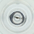  ( - POMS_003_F8)  @11 [ ] by  Genome Research Ltd as Wellcome Sanger Institute Genome Research Limited operating as Wellcome Sanger Institute