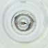 ( - POMS_004_H11)  @11 [ ] by  Genome Research Ltd as Wellcome Sanger Institute Genome Research Limited operating as Wellcome Sanger Institute