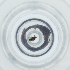 ( - POMS_005_E6)  @11 [ ] by  Genome Research Ltd as Wellcome Sanger Institute Genome Research Limited operating as Wellcome Sanger Institute