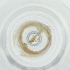  ( - POMS_005_G1)  @11 [ ] by  Genome Research Ltd as Wellcome Sanger Institute Genome Research Limited operating as Wellcome Sanger Institute