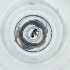  ( - POMS_006_C11)  @11 [ ] by  Genome Research Ltd as Wellcome Sanger Institute Genome Research Limited operating as Wellcome Sanger Institute