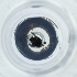  ( - POMS_008_H2)  @11 [ ] by  Genome Research Ltd as Wellcome Sanger Institute Genome Research Limited operating as Wellcome Sanger Institute