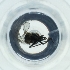  ( - POMS_009_E10)  @11 [ ] by  Genome Research Ltd as Wellcome Sanger Institute Genome Research Limited operating as Wellcome Sanger Institute