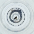  ( - POMS_010_E9)  @11 [ ] by  Genome Research Ltd as Wellcome Sanger Institute Genome Research Limited operating as Wellcome Sanger Institute