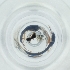  ( - POMS_011_C2)  @11 [ ] by  Genome Research Ltd as Wellcome Sanger Institute Genome Research Limited operating as Wellcome Sanger Institute