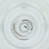  ( - POMS_011_D2)  @11 [ ] by  Genome Research Ltd as Wellcome Sanger Institute Genome Research Limited operating as Wellcome Sanger Institute