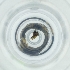  ( - POMS_013_F10)  @11 [ ] by  Genome Research Ltd as Wellcome Sanger Institute Genome Research Limited operating as Wellcome Sanger Institute