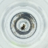  ( - POMS_013_G10)  @11 [ ] by  Genome Research Ltd as Wellcome Sanger Institute Genome Research Limited operating as Wellcome Sanger Institute