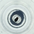  ( - POMS_015_C4)  @11 [ ] by  Genome Research Ltd as Wellcome Sanger Institute Genome Research Limited operating as Wellcome Sanger Institute