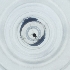  ( - POMS_020_D2)  @11 [ ] by  Genome Research Ltd as Wellcome Sanger Institute Genome Research Limited operating as Wellcome Sanger Institute
