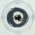  ( - POMS_023_D10)  @11 [ ] by  Genome Research Ltd as Wellcome Sanger Institute Genome Research Limited operating as Wellcome Sanger Institute