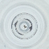  ( - POMS_027_A1)  @11 [ ] by  Genome Research Ltd as Wellcome Sanger Institute Genome Research Limited operating as Wellcome Sanger Institute