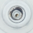  ( - POMS_028_B8)  @11 [ ] by  Genome Research Ltd as Wellcome Sanger Institute Genome Research Limited operating as Wellcome Sanger Institute