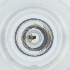  ( - POMS_029_D1)  @11 [ ] by  Genome Research Ltd as Wellcome Sanger Institute Genome Research Limited operating as Wellcome Sanger Institute