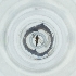  ( - POMS_037_E12)  @11 [ ] by  Genome Research Ltd as Wellcome Sanger Institute Genome Research Limited operating as Wellcome Sanger Institute