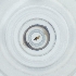  ( - POMS_040_F3)  @11 [ ] by  Genome Research Ltd as Wellcome Sanger Institute Genome Research Limited operating as Wellcome Sanger Institute