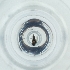  ( - POMS_041_B3)  @11 [ ] by  Genome Research Ltd as Wellcome Sanger Institute Genome Research Limited operating as Wellcome Sanger Institute