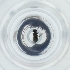  ( - POMS_045_F7)  @11 [ ] by  Genome Research Ltd as Wellcome Sanger Institute Genome Research Limited operating as Wellcome Sanger Institute
