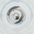  ( - POMS_046_E10)  @11 [ ] by  Genome Research Ltd as Wellcome Sanger Institute Genome Research Limited operating as Wellcome Sanger Institute