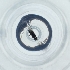  ( - POMS_048_C1)  @11 [ ] by  Genome Research Ltd as Wellcome Sanger Institute Genome Research Limited operating as Wellcome Sanger Institute