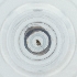  ( - POMS_065_D4)  @11 [ ] by  Genome Research Ltd as Wellcome Sanger Institute Genome Research Limited operating as Wellcome Sanger Institute