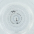  (Winnertzia angustistylus - POMS_069_B1)  @11 [ ] by  Genome Research Ltd as Wellcome Sanger Institute Genome Research Limited operating as Wellcome Sanger Institute