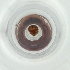  ( - POMS_070_A12)  @11 [ ] by  Genome Research Ltd as Wellcome Sanger Institute Genome Research Limited operating as Wellcome Sanger Institute