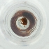  ( - POMS_070_A9)  @11 [ ] by  Genome Research Ltd as Wellcome Sanger Institute Genome Research Limited operating as Wellcome Sanger Institute