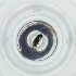  ( - POMS_071_F8)  @11 [ ] by  Genome Research Ltd as Wellcome Sanger Institute Genome Research Limited operating as Wellcome Sanger Institute