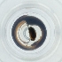  ( - POMS_071_G8)  @11 [ ] by  Genome Research Ltd as Wellcome Sanger Institute Genome Research Limited operating as Wellcome Sanger Institute