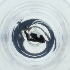  ( - POMS_073_D5)  @11 [ ] by  Genome Research Ltd as Wellcome Sanger Institute Genome Research Limited operating as Wellcome Sanger Institute