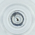  ( - POMS_077_F1)  @11 [ ] by  Genome Research Ltd as Wellcome Sanger Institute Genome Research Limited operating as Wellcome Sanger Institute