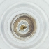  ( - POMS_087_G5)  @11 [ ] by  Genome Research Ltd as Wellcome Sanger Institute Genome Research Limited operating as Wellcome Sanger Institute